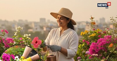 ये पौधे आपके बजट में भी फिट बैठेंगे और आपके घर को स्वर्ग जैसा बना देंगे.