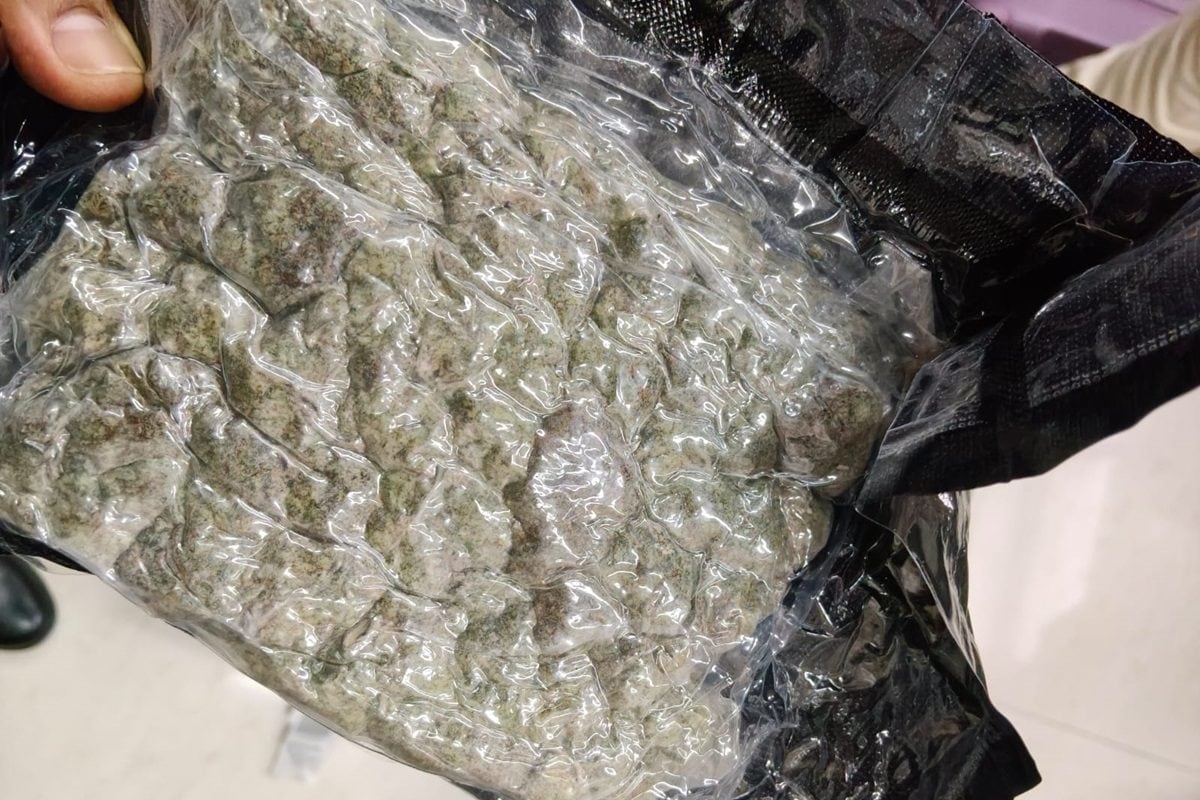 खिलौनों में छुपा था 'नशे का जाल', गया एयरपोर्ट पर 25 किलो हाइड्रोपोनिक वीड्स के साथ 5 तस्कर गिरफ्तार