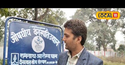 Gonda's Ramnath Arogyadham: A Unique Health Hub Using Medicinal Plants