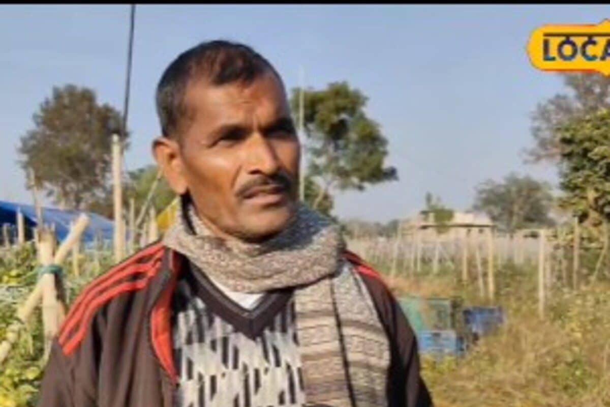 Video: बैंगन की जड़ टमाटर का तना! किसान का अनोखा प्रयोग 4 लाख लगाकर बनाया 10 लाख का जैकपॉट