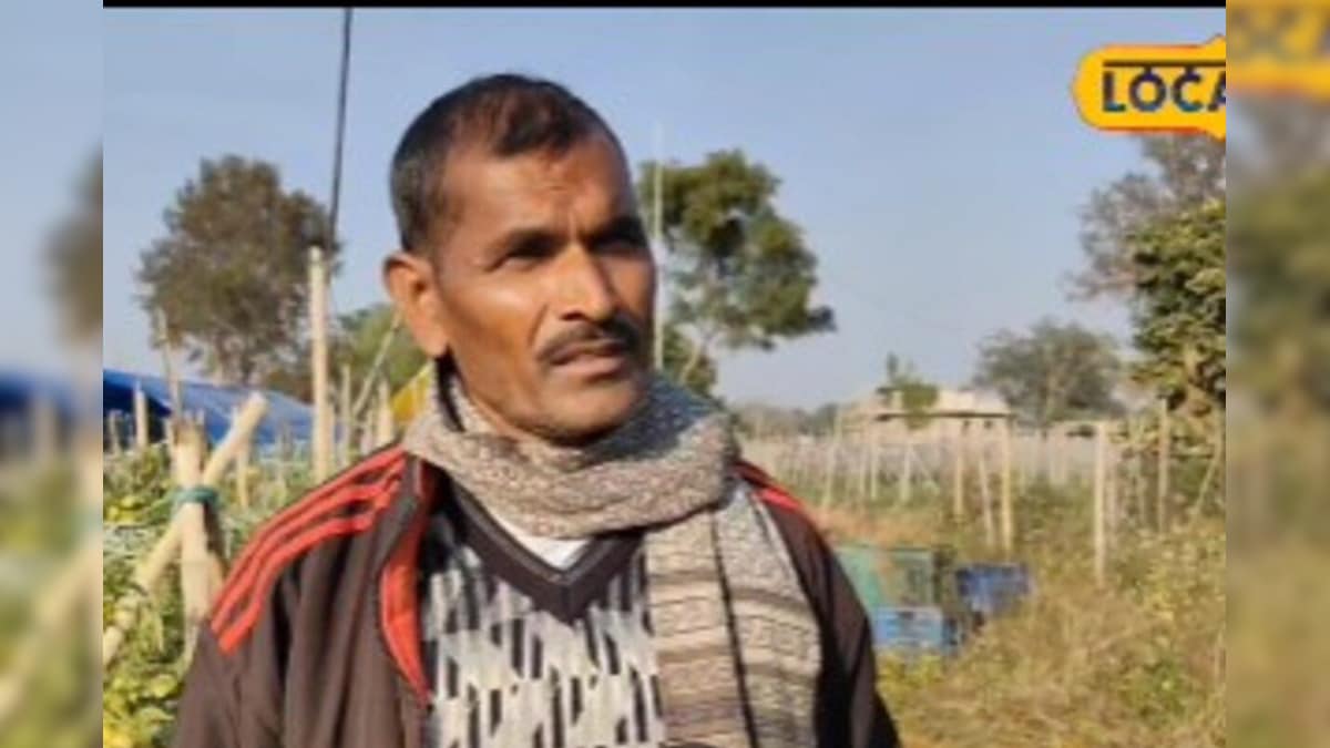 Video: बैंगन की जड़, टमाटर का तना! किसान का अनोखा प्रयोग, 4 लाख लगाकर बनाया 10 लाख का जैकपॉट