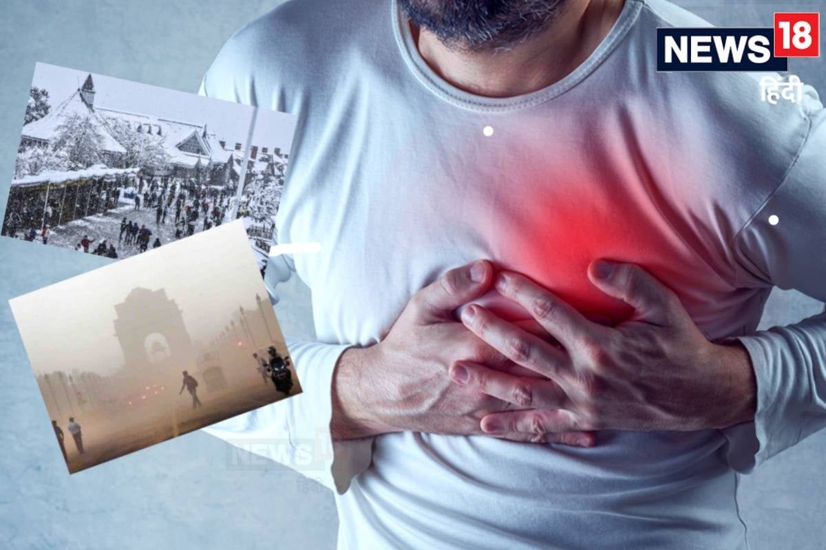 दिल्ली में प्रदूषण शिमला में ठंड! कहां ज्यादा हैं हार्ट की बीमारियां रिसर्च में हुआ खुलासा