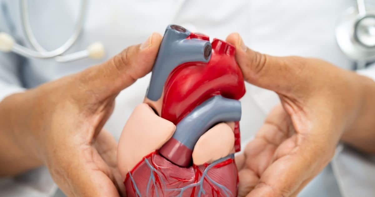 सभी अंगदाताओं को संदेह की नजर से न देखें : मद्रास उच्च न्यायालय