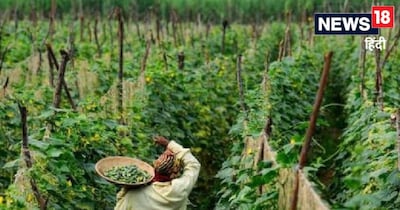 हरियाणा में किसान करेंगे हर्बल खेती.