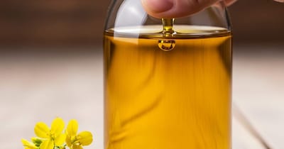 Is Your Mustard Oil Pure? Easy Home Tests to Detect Adulteration