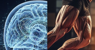 बादाम नहीं, पैरों में छिपा है तेज दिमाग का राज: वैज्ञानिकों का चौंकाने वाला खुलासा.