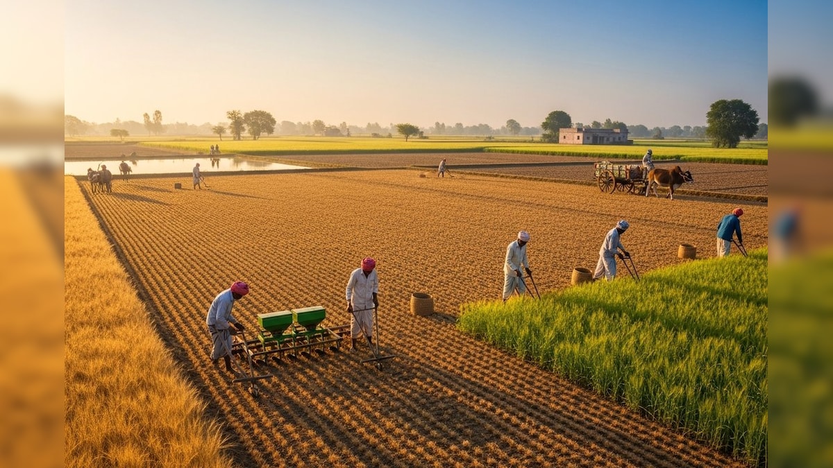 Krishi Tips: किसान बनेंगे मालामाल, रबी फसलों से बढ़ेगा मुनाफा; बस जान लें सही तरीका