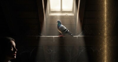 घर में कबूतर का आना शुभ या अशुभ?