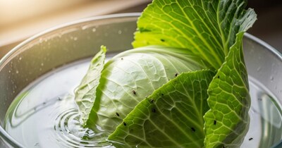 पत्ता गोभी साफ करने का तरीका