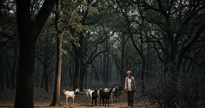 Udaipur Jhadol murder case