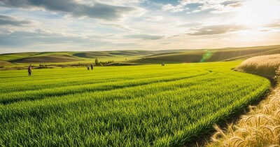 Guyana: The World's Only Food Self-Sufficient Nation, With Strong Indian Roots