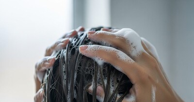 ग्रे हेयर से बचें! शैम्पू में मिलाएं ये चीज़, बाल रहेंगे घने और मुलायम, असमय सफेद नहीं होंगे.