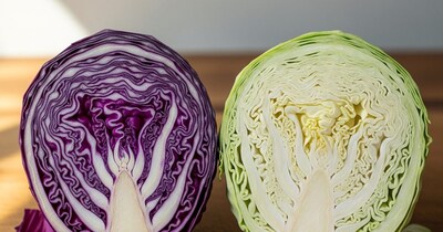 Red vs White Cabbage: Which is Healthier? Uncover the Nutritional Showdown!