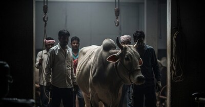 भोपाल गौमांस मामला: नगर निगम अध्यक्ष का कड़ा तेवर, बोले- "चमड़ा उतार देंगे, कोई नहीं बचेगा".