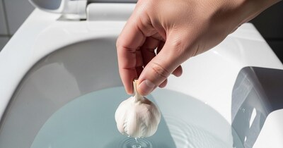 Garlic in Toilets: The Viral Trend for Odor & Pest Control, But Does it Really Work?