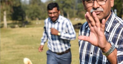 उत्तराखंड में प्रोफेसर्स को कुत्ते भगाने का आदेश. (सांकेतिक तस्वीर-AI)