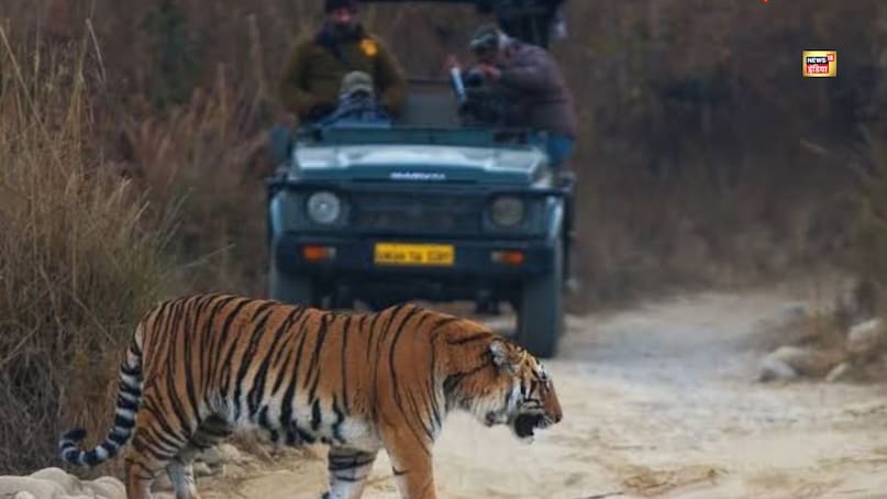 जिम कॉर्बेट: हालांकि जिम कॉर्बेट नेशनल पार्क कोई शहर नहीं है, फिर भी यह भारत की विरासत का एक अनोखा नज़रिया पेश करता है एक ऐसा नज़रिया जहां संरक्षण और वन्यजीव सबसे ज़्यादा अहमियत रखते हैं, और एक ऐसी विरासत को आकार देते हैं जो लगातार विकसित हो रही है. भारत के पहले राष्ट्रीय पार्क के तौर पर स्थापित, यह देश के शुरुआती संरक्षण प्रयासों का एक जीता-जागता सबूत है; यहां के घने जंगल, नदी-तट के नज़ारे और समृद्ध जैव-विविधता यात्रियों को प्रकृति के सबसे जीवंत रूप का अनुभव करने के लिए आमंत्रित करते हैं.