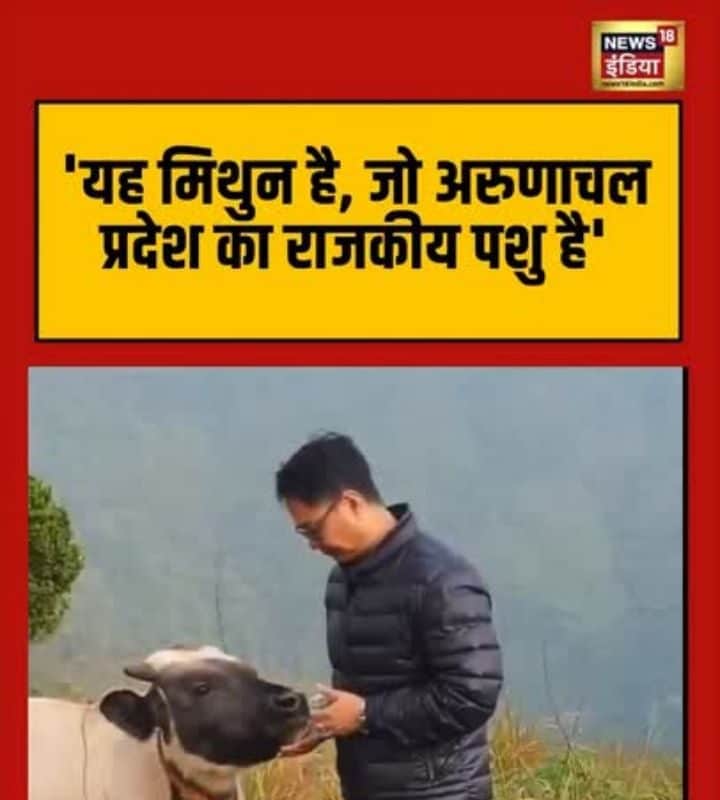 ये है अरुणाचल प्रदेश का राजकीय पशु! क्या आपने देखा है कभी