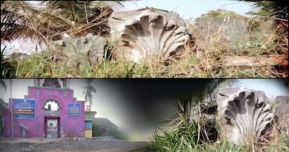 खुदाई में पहले सोने का खजाना... अब सात सिर वाले सांप, हर दिन चौंका रहा भारत का ये राज्य