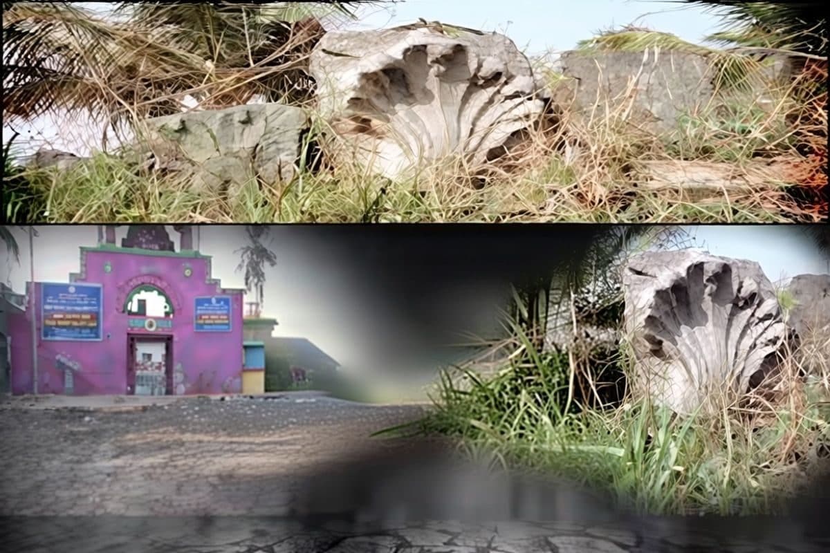 खुदाई में पहले सोने का खजाना अब सात सिर वाले सांप हर दिन चौंका रहा भारत का ये राज्य