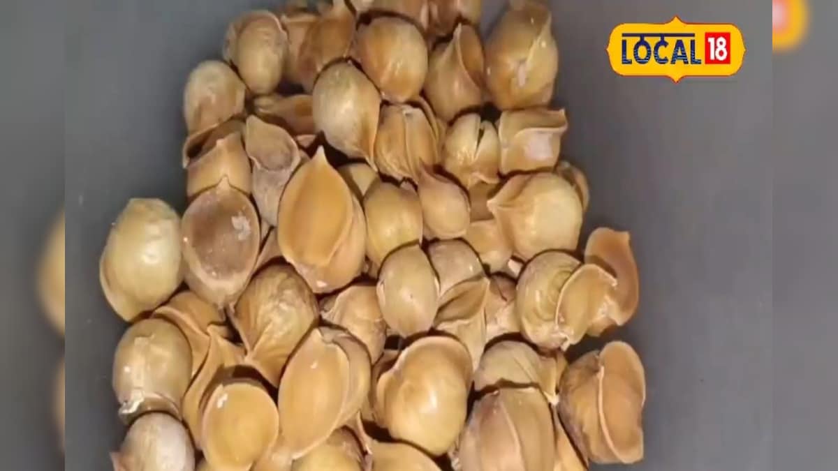 सर्दियों में वरदान है कश्मीरी लहसुन: कोलेस्ट्रॉल से लेकर शुगर तक में मिलते हैं ये 5 चमत्कारी फायदे