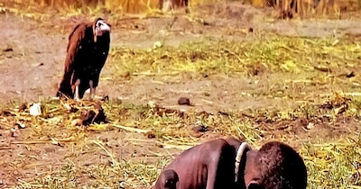 मशहूर बनाने के बाद मौत दे गई एक तस्वीर (इमेज- फाइल फोटो)