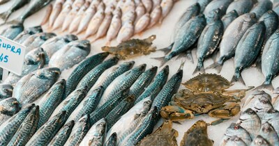 मछली खाने के फायदे.