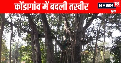 Kondagaon Transformed: Death Tree Now a Shrine of Faith, Naxal Terror Vanishes