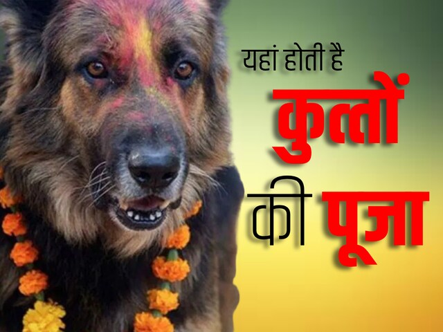 इस गांव में क्यों की जाती है कुत्तों की पूजा, पढ़िए लोक मान्यता की अनोखी कहानी