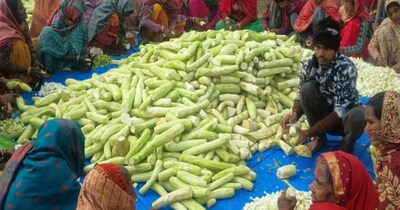 बेगूसराय में देश के सबसे बड़े महाभोज का आयोजन किया गया. इसमें 10 लाख से ज्यादा लोगों के लिए 1 लाख लोगों की टीम ने मिलकर खाना बनाया. रामदीरी गांव में स्वर्गीय राम कृपाल सिंह के श्राद्ध कर्म के अवसर महाभोज का आयोजन हुआ. इस भोज को बिहार में हुए अब तक के महाभोजों में सबसे बड़ा बताया जा रहा है. मालूम हो कि प्रदेश में कई नामी हस्तियां भी महाभोज करा चुकी हैं. जिसमें पूर्व मुख्यमंत्री लालू प्रसाद यादव, जेडीयू नेता अनंत सिंह, केंद्रीय मंत्री ललन सिंह के नाम शामिल हैं.