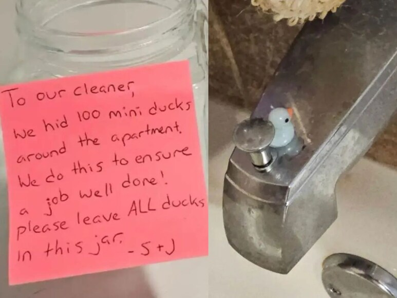 नौकरानी घर छोड़ देती है