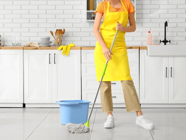 मालिक ने घर में छुपाई प्लास्टिक की 100 बत्तखें, नौकरानी को दी ढूंढने की चुनौती!