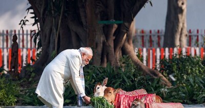 पीएम मोदी गाय के साथ