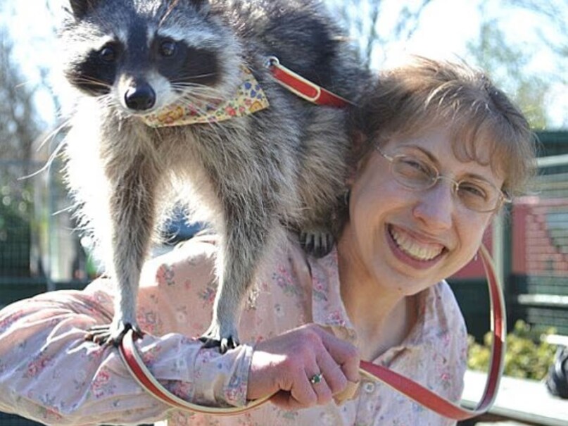 दुनिया के सबसे बुद्धिमान जानवर