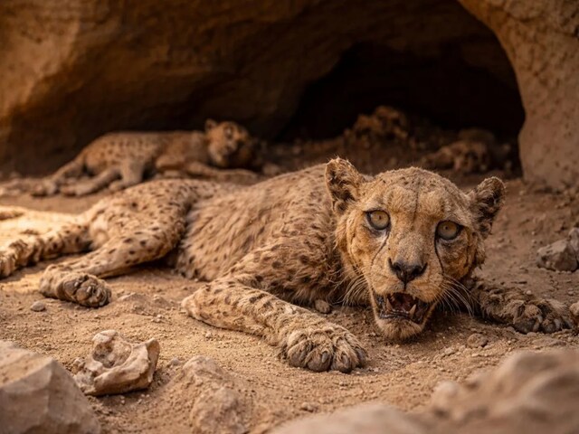 2 हजार साल से बंद था गुफा का दरवाजा, खुलते ही हैरान रह गए वैज्ञानिक!