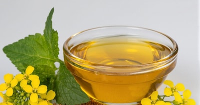 सर्दियों में सरसों का तेल स्किन के लिए वरदान हो सकता है.