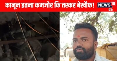 बैतूल में गोवंश तस्करी पर बड़ा सवाल