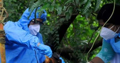 पश्चिम बंगाल से तीन केसेस सामने आते ही मचा हड़कंप (इमेज- फाइल फोटो)