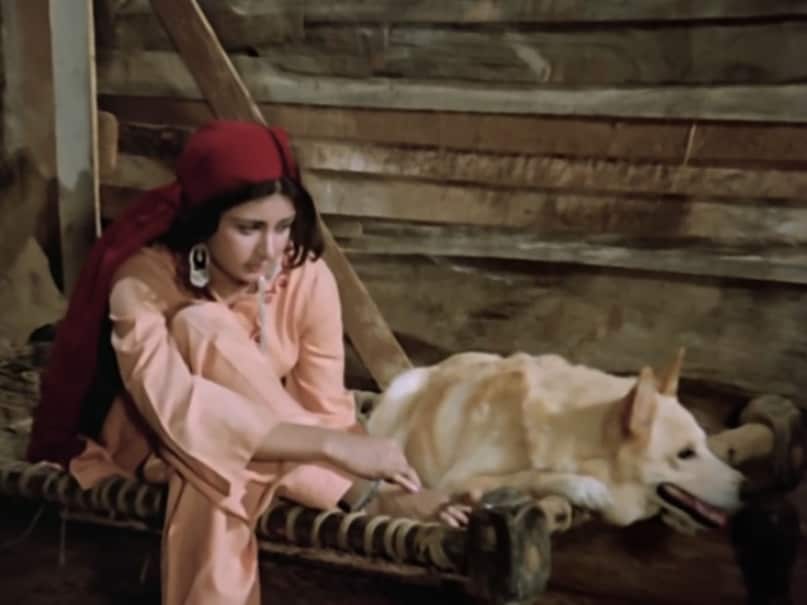 Noorie, Noorie movie, Farooq Sheikh, Poonam Dhillon, Khairu dog Noorie, Manmohan Krishna director, Yash Chopra producer, Bollywood 1979 films, नूरी, फारूक शेख, पूनम ढिल्लों