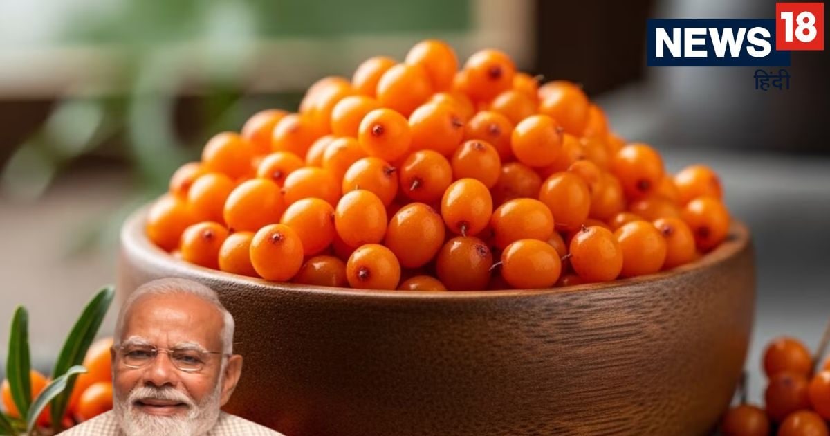 पहाड़ों में उगने वाले इस ऑरेंज फ्रूट के दीवाने पीएम मोदी, नौजवानों को दी रोज खाने की सलाह, जानें क्या है इसके फायदे