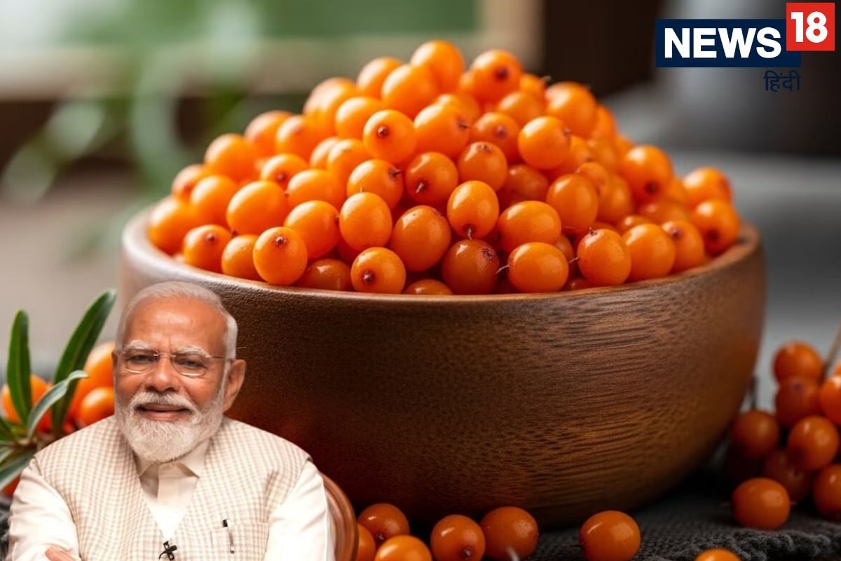 पहाड़ों में उगने वाले इस ऑरेंज फ्रूट के दीवाने पीएम मोदी नौजवानों को दी रोज खाने की सलाह जानें क्या है इसके फायदे