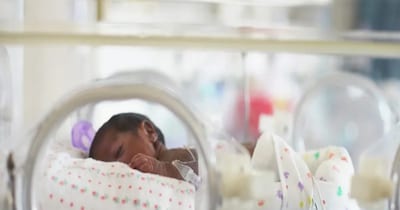 प्रीमेच्योर बेबी को बचाने के लिए चल रहा है जतन (इमेज- फाइल फोटो)