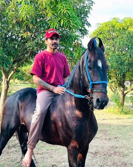 Ravindra Jadeja, Ravindra Jadeja net worth salary, Ravindra Jadeja net worth salary income, Ravindra Jadeja luxury life style, Ravindra Jadeja house, Ravindra Jadeja car, Ravindra Jadeja monthly income, Ravindra Jadeja bcci salary, Ravindra Jadeja, Jadeja Networth, Ravindra Jadeja Salary, Ravindra Jadeja Life Style Ravindra Jadeja, Ravindra Jadeja net worth salary, Ravindra Jadeja net worth salary income, Ravindra Jadeja luxury life style, Ravindra Jadeja house, Ravindra Jadeja car, Ravindra Jadeja monthly income, Ravindra Jadeja bcci salary, Ravindra Jadeja, Jadeja Networth, Ravindra Jadeja Salary, Ravindra Jadeja Life Style