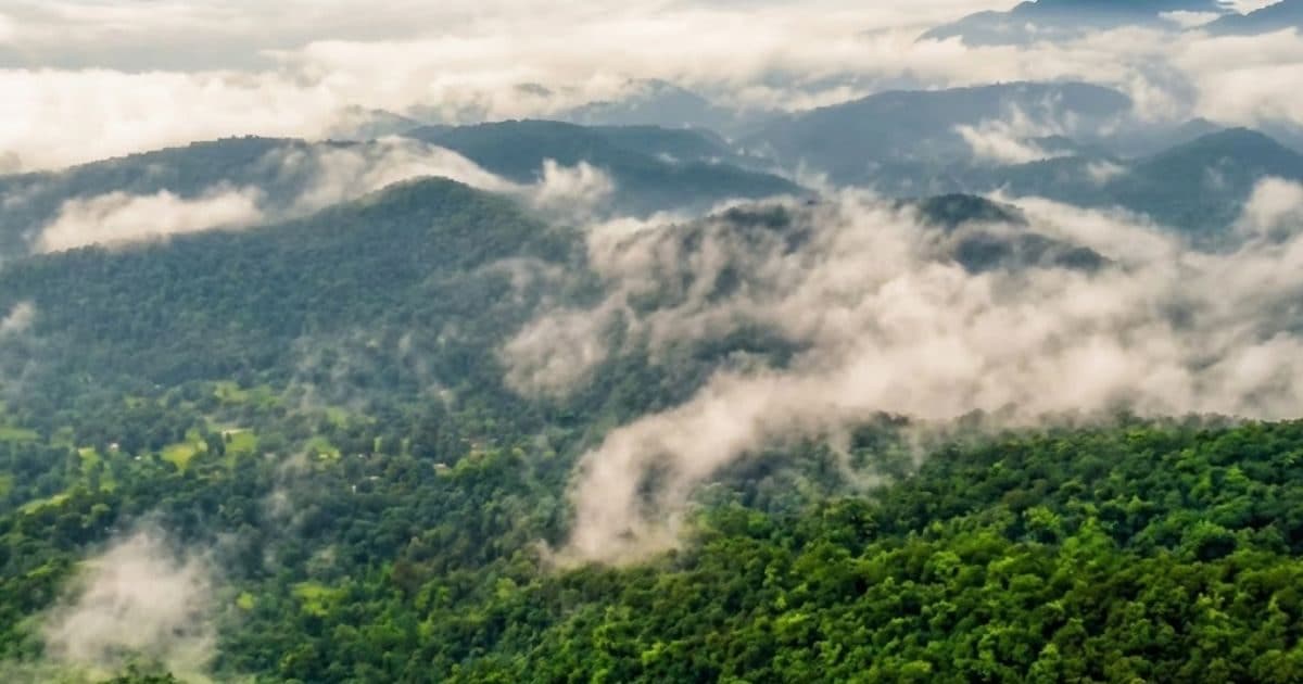 कितना खतरनाक है सारंडा का घना जंगल, जहां बेमौत मरा 1 करोड़ का इनामी नक्सली, इस वजह से अक्सर रहता है चर्चा में