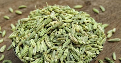 खाने के बाद सौंफ के बीज चबाने से पाचन बेहतर होता है.