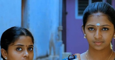 Remember Neethu Neelambaran? 'Sundarapandian' Actress's Transformed Look Goes Viral 12 Years Later