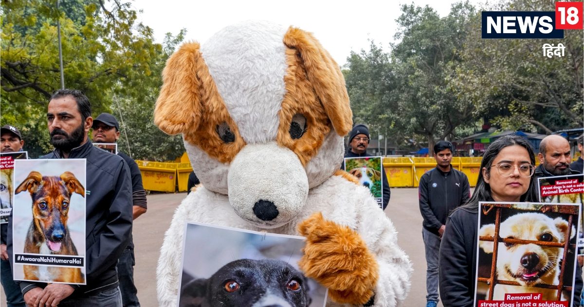 लेख पढ़कर और तैयार होकर आएं...सुप्रीम कोर्ट के जज ने क्‍यों कहा ऐसा? दिए बड़े संकेत