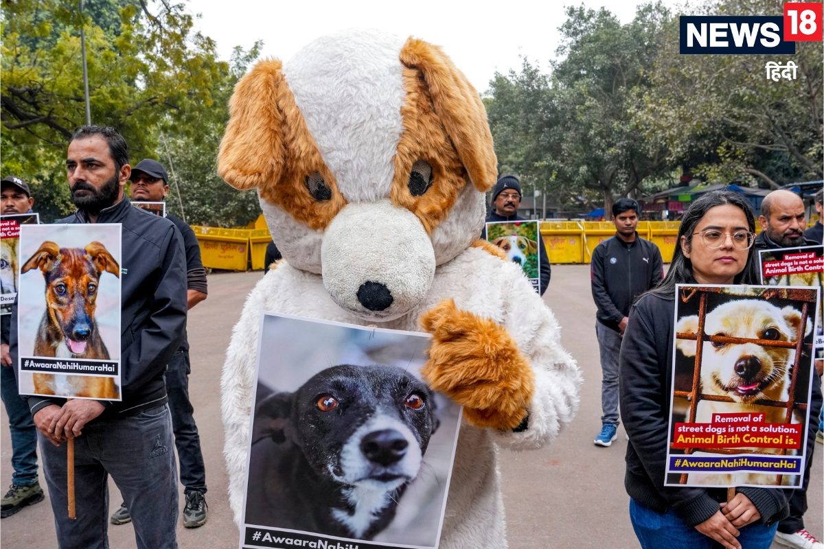 लेख पढ़कर और तैयार होकर आएंसुप्रीम कोर्ट के जज ने क्‍यों कहा ऐसा दिए बड़े संकेत