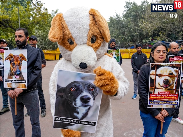 लेख पढ़कर और तैयार होकर आएं...सुप्रीम कोर्ट के जज ने क्‍यों कहा ऐसा?