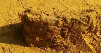 देहरादून के विकासनगर में अश्वमेध यत्र के वेदिक की खोज जारी है.